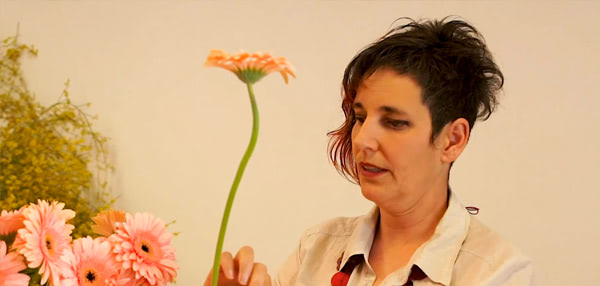 curso basico de florista. Las gerberas, unas flores muy especiales